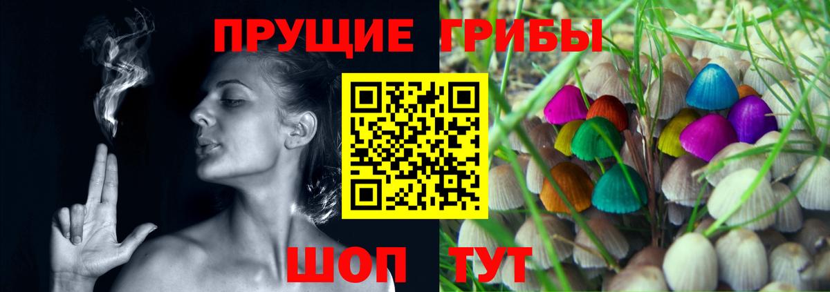 Артём  Галлюциногенные грибы GOLDEN TEACHER  Вход с VPN 